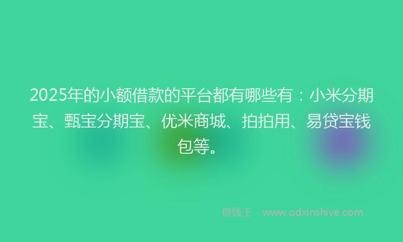 2025年的小额借款的平台都有哪些有：小米分期宝、甄宝分期宝、优米商城、拍拍用、易贷宝钱包等。