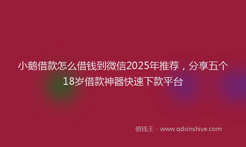 小鹅借款怎么借钱到微信2025年推荐，分享五个18岁借款神器快速下款平台