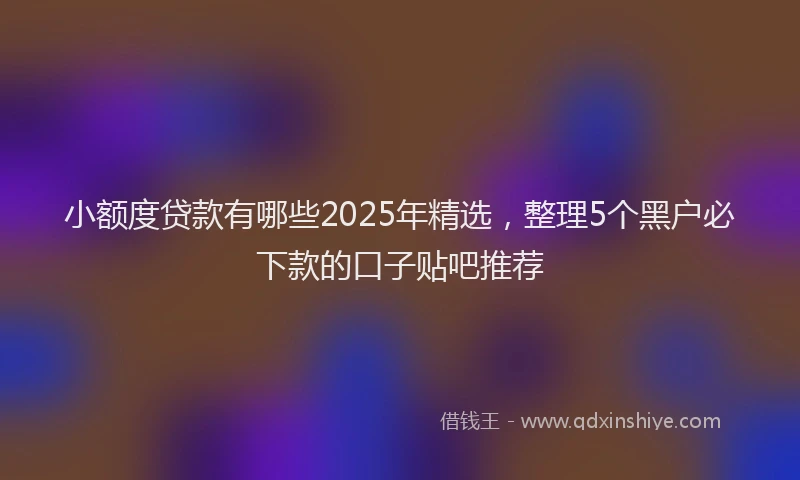 小额度贷款有哪些2025年精选，整理5个黑户必下款的口子贴吧推荐