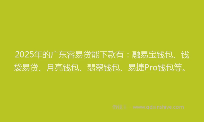 2025年的广东容易贷能下款有：融易宝钱包、钱袋易贷、月亮钱包、翡翠钱包、易捷Pro钱包等。