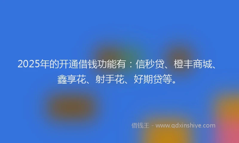 2025年的开通借钱功能有：信秒贷、橙丰商城、鑫享花、射手花、好期贷等。