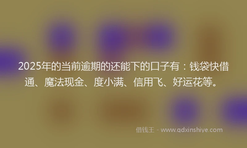 2025年的当前逾期的还能下的口子有：钱袋快借通、魔法现金、度小满、信用飞、好运花等。