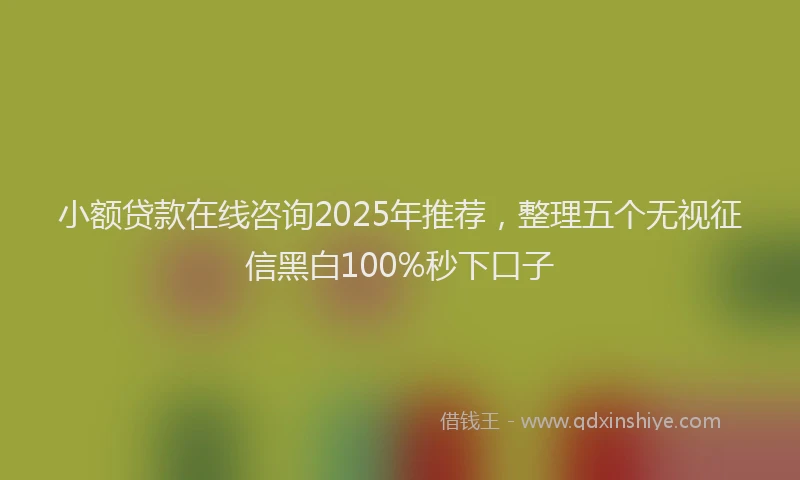 小额贷款在线咨询2025年推荐，整理五个无视征信黑白100%秒下口子