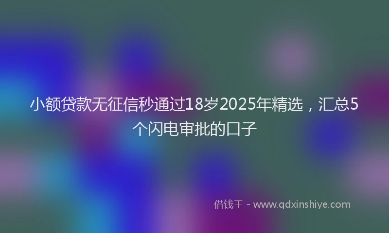 小额贷款无征信秒通过18岁2025年精选，汇总5个闪电审批的口子