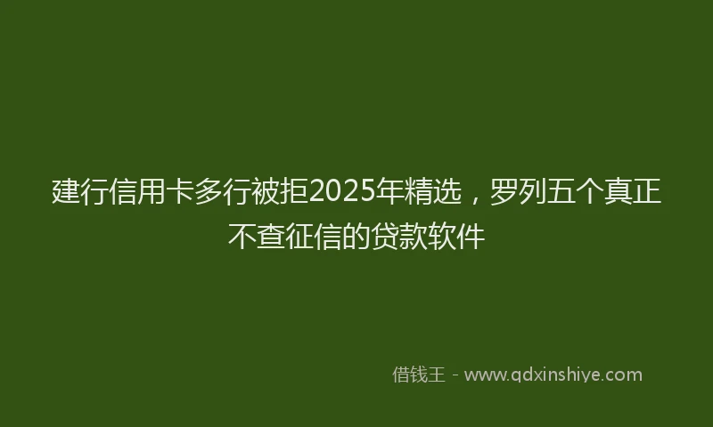 建行信用卡多行被拒2025年精选，罗列五个真正不查征信的贷款软件
