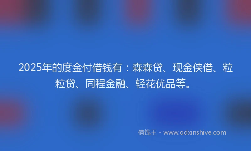 2025年的度金付借钱有：森森贷、现金侠借、粒粒贷、同程金融、轻花优品等。