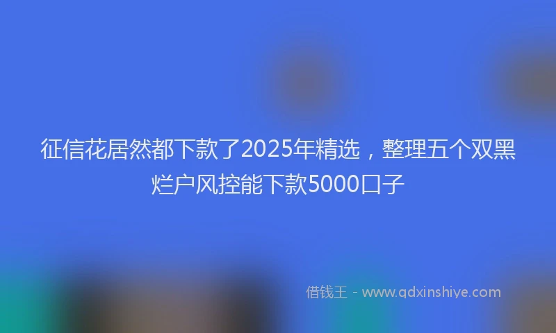 征信花居然都下款了2025年精选，整理五个双黑烂户风控能下款5000口子