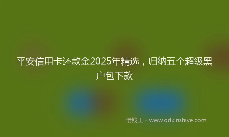 平安信用卡还款金2025年精选，归纳五个超级黑户包下款