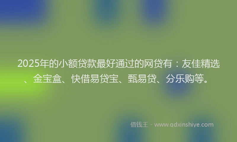 2025年的小额贷款最好通过的网贷有：友佳精选、金宝盒、快借易贷宝、甄易贷、分乐购等。