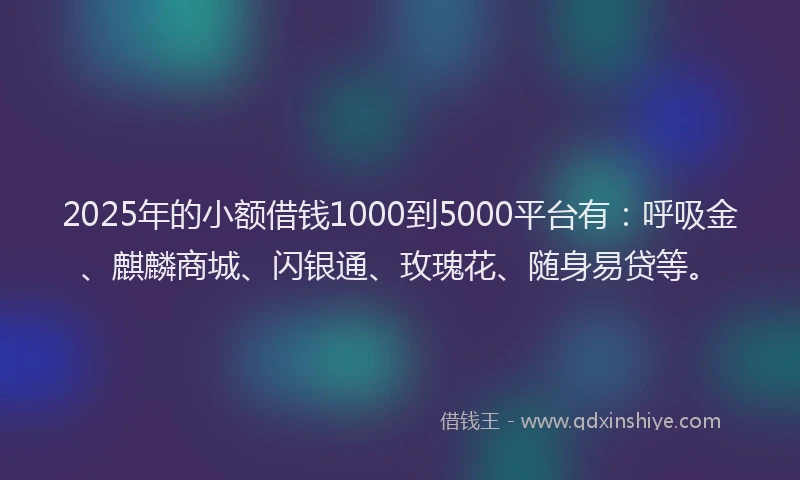 2025年的小额借钱1000到5000平台有：呼吸金、麒麟商城、闪银通、玫瑰花、随身易贷等。