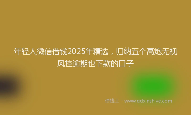 年轻人微信借钱2025年精选，归纳五个高炮无视风控逾期也下款的口子