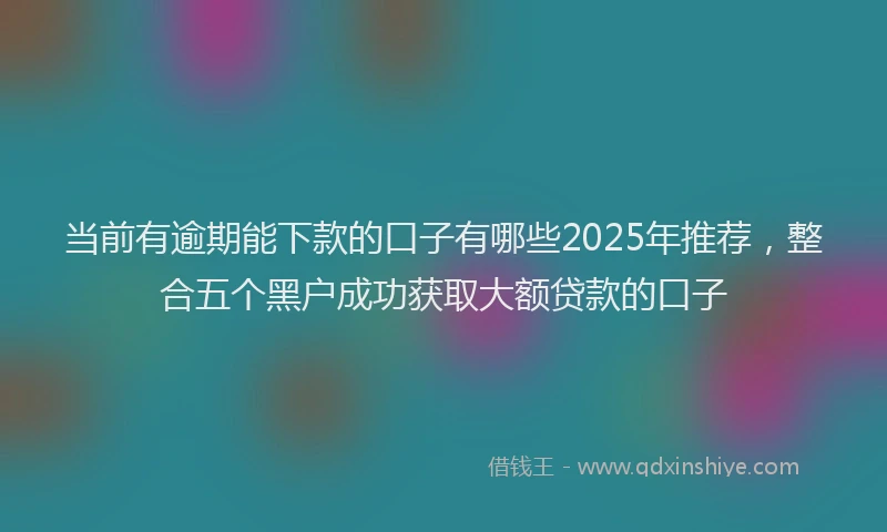 当前有逾期能下款的口子有哪些2025年推荐，整合五个黑户成功获取大额贷款的口子