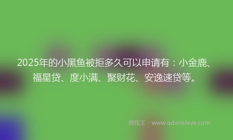 2025年的小黑鱼被拒多久可以申请有：小金鹿、福星贷、度小满、聚财花、安逸速贷等。