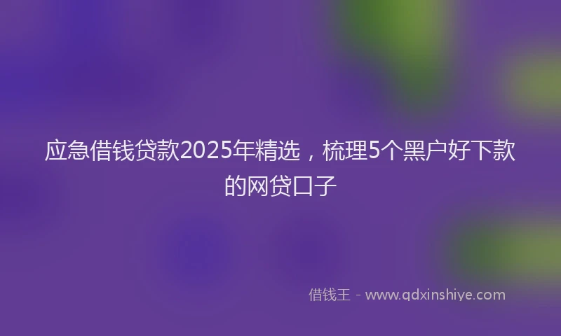 应急借钱贷款2025年精选，梳理5个黑户好下款的网贷口子