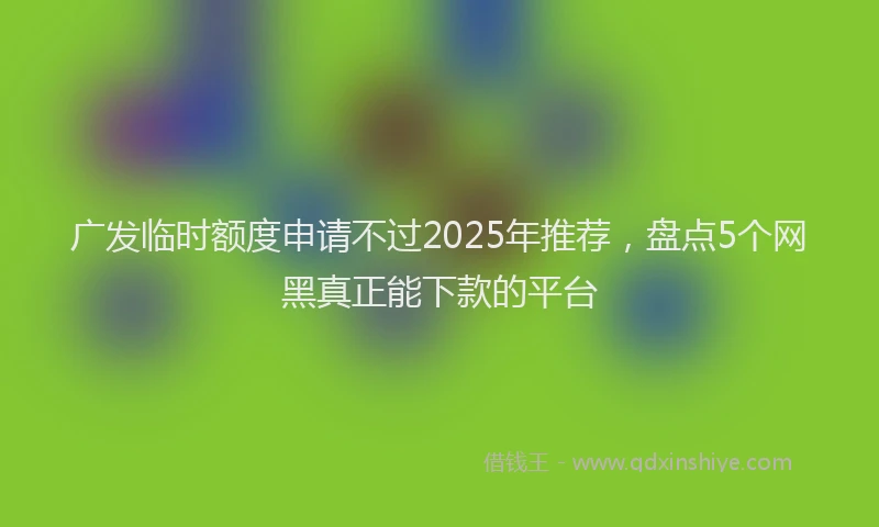 广发临时额度申请不过2025年推荐，盘点5个网黑真正能下款的平台