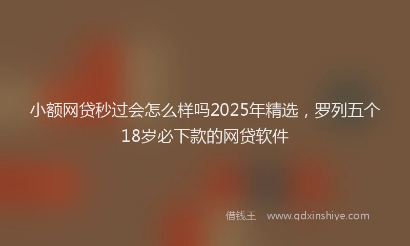 小额网贷秒过会怎么样吗2025年精选，罗列五个18岁必下款的网贷软件