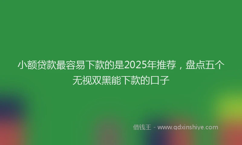 小额贷款最容易下款的是2025年推荐，盘点五个无视双黑能下款的口子