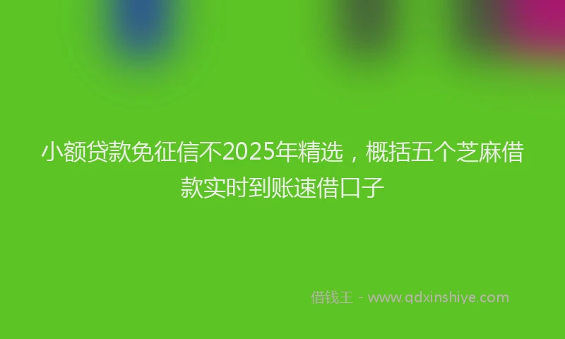 小额贷款免征信不2025年精选，概括五个芝麻借款实时到账速借口子