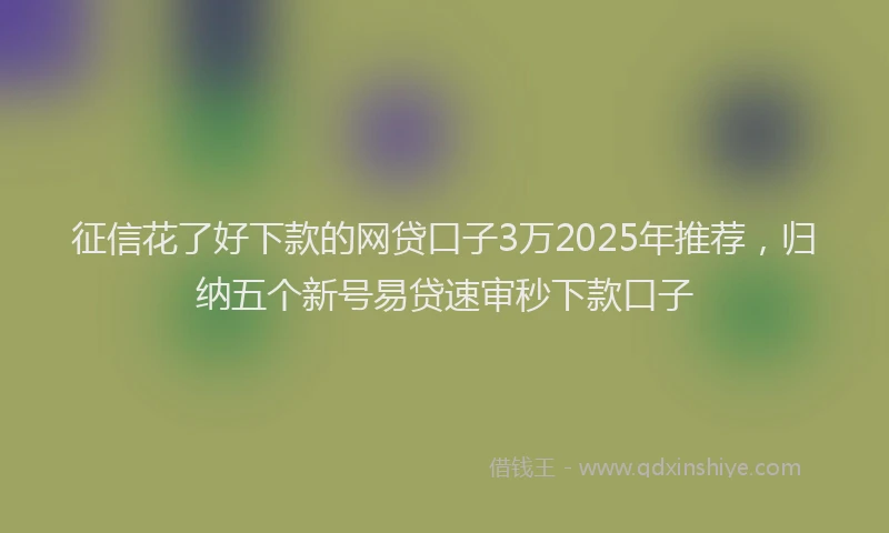 征信花了好下款的网贷口子3万2025年推荐，归纳五个新号易贷速审秒下款口子