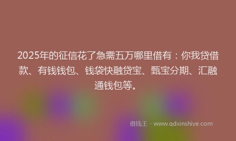 2025年的征信花了急需五万哪里借有：你我贷借款、有钱钱包、钱袋快融贷宝、甄宝分期、汇融通钱包等。