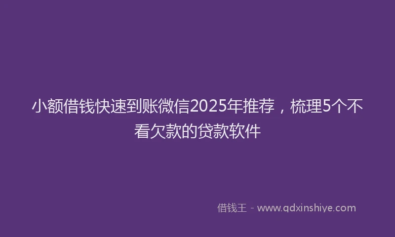 小额借钱快速到账微信2025年推荐，梳理5个不看欠款的贷款软件