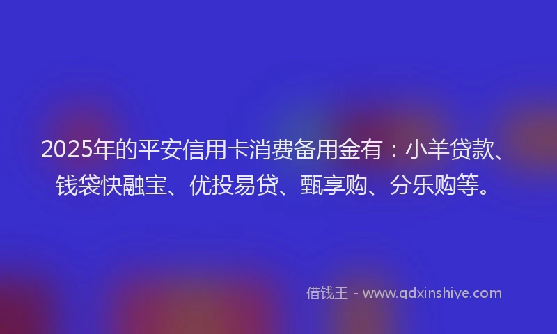 2025年的平安信用卡消费备用金有：小羊贷款、钱袋快融宝、优投易贷、甄享购、分乐购等。