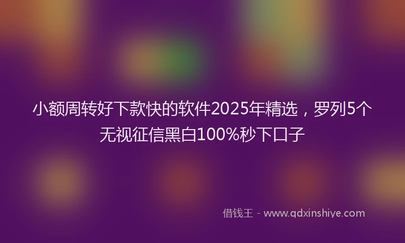 小额周转好下款快的软件2025年精选，罗列5个无视征信黑白100%秒下口子