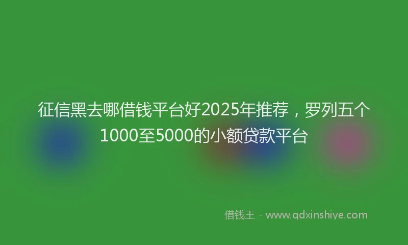 征信黑去哪借钱平台好2025年推荐，罗列五个1000至5000的小额贷款平台