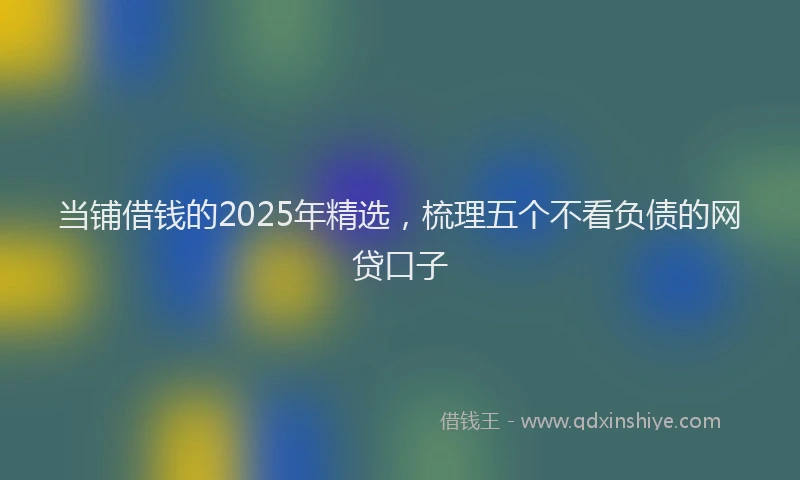 当铺借钱的2025年精选，梳理五个不看负债的网贷口子