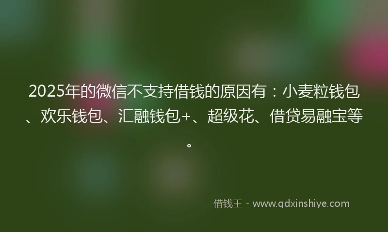 2025年的微信不支持借钱的原因有：小麦粒钱包、欢乐钱包、汇融钱包+、超级花、借贷易融宝等。