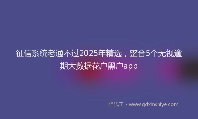 征信系统老通不过2025年精选，整合5个无视逾期大数据花户黑户app