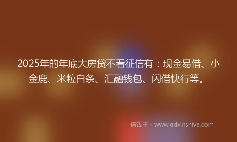2025年的年底大房贷不看征信有：现金易借、小金鹿、米粒白条、汇融钱包、闪借快行等。