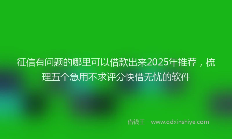 征信有问题的哪里可以借款出来2025年推荐，梳理五个急用不求评分快借无忧的软件