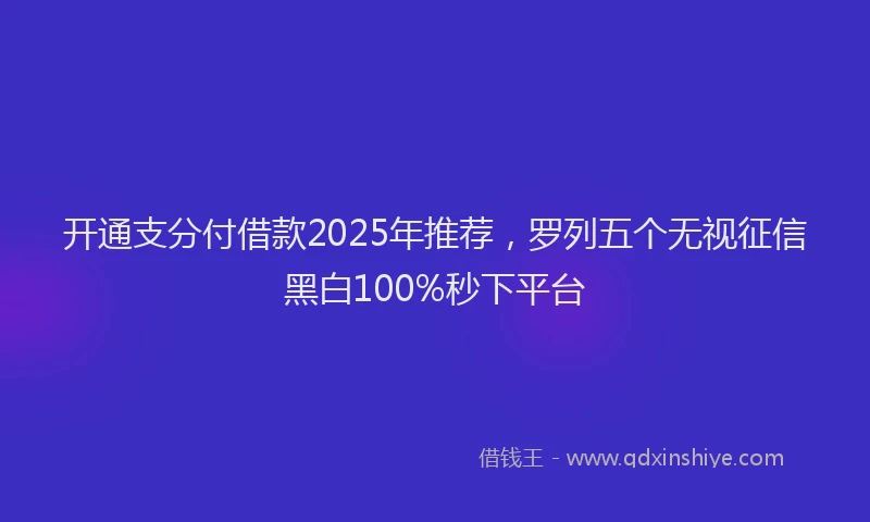 开通支分付借款2025年推荐，罗列五个无视征信黑白100%秒下平台