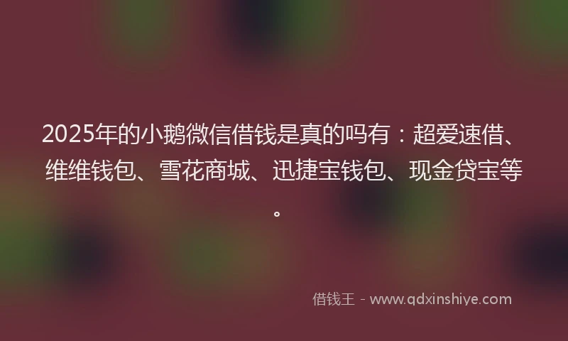 2025年的小鹅微信借钱是真的吗有：超爱速借、维维钱包、雪花商城、迅捷宝钱包、现金贷宝等。