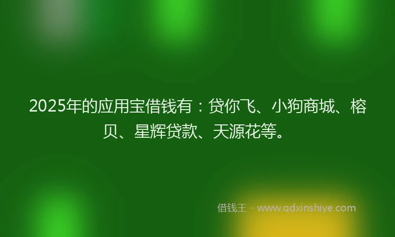 2025年的应用宝借钱有：贷你飞、小狗商城、榕贝、星辉贷款、天源花等。