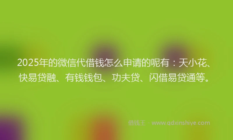 2025年的微信代借钱怎么申请的呢有：天小花、快易贷融、有钱钱包、功夫贷、闪借易贷通等。