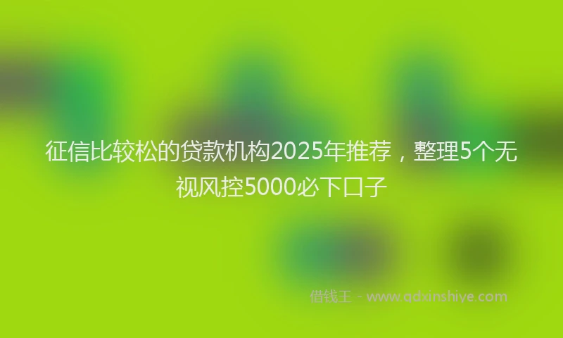 征信比较松的贷款机构2025年推荐，整理5个无视风控5000必下口子
