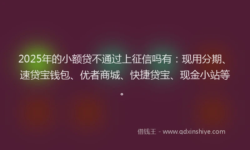 2025年的小额贷不通过上征信吗有：现用分期、速贷宝钱包、优者商城、快捷贷宝、现金小站等。