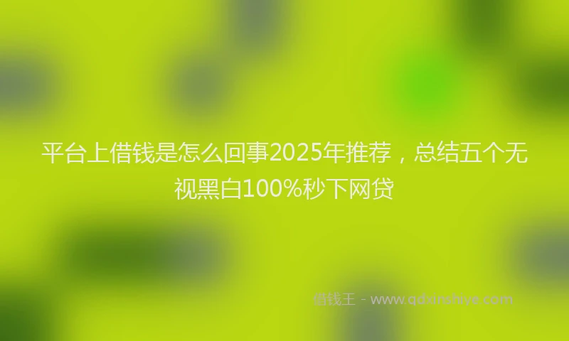 平台上借钱是怎么回事2025年推荐，总结五个无视黑白100%秒下网贷