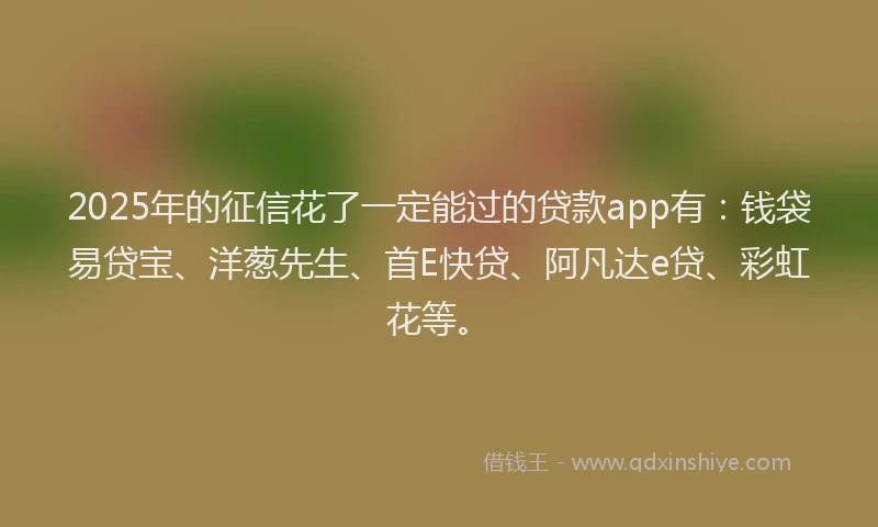 2025年的征信花了一定能过的贷款app有：钱袋易贷宝、洋葱先生、首E快贷、阿凡达e贷、彩虹花等。