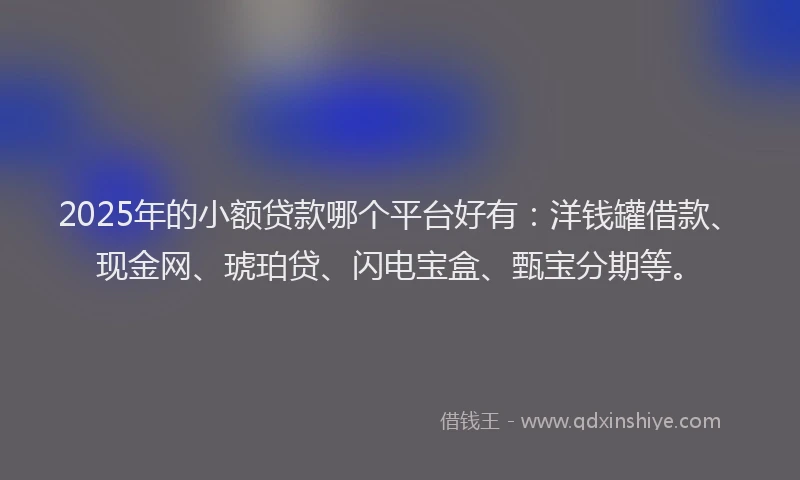 2025年的小额贷款哪个平台好有：洋钱罐借款、现金网、琥珀贷、闪电宝盒、甄宝分期等。