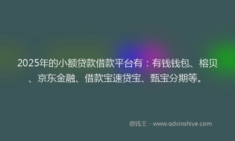 2025年的小额贷款借款平台有：有钱钱包、榕贝、京东金融、借款宝速贷宝、甄宝分期等。