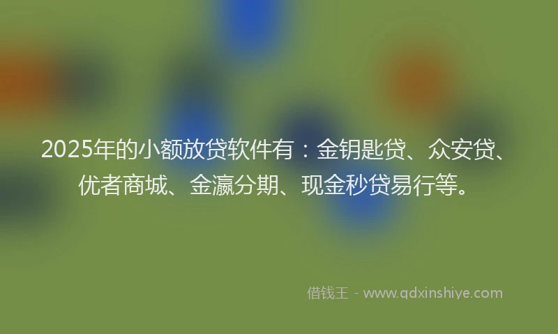 2025年的小额放贷软件有：金钥匙贷、众安贷、优者商城、金瀛分期、现金秒贷易行等。