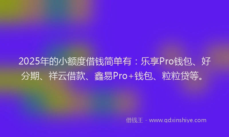 2025年的小额度借钱简单有：乐享Pro钱包、好分期、祥云借款、鑫易Pro+钱包、粒粒贷等。