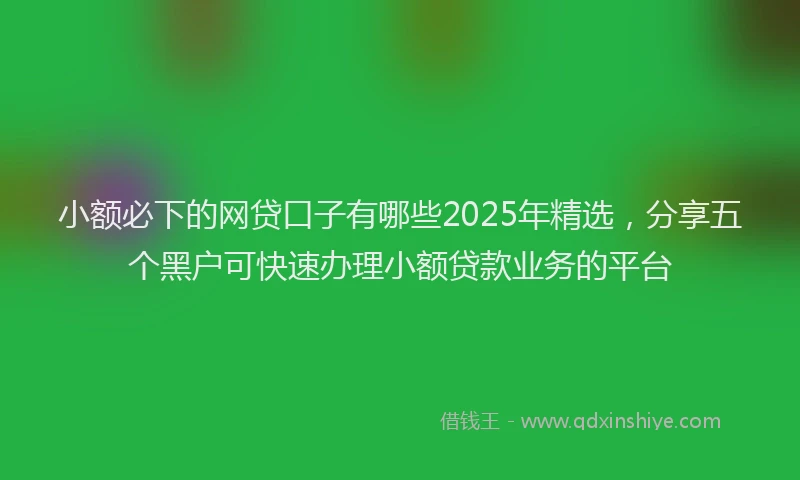 小额必下的网贷口子有哪些2025年精选，分享五个黑户可快速办理小额贷款业务的平台