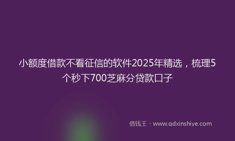小额度借款不看征信的软件2025年精选，梳理5个秒下700芝麻分贷款口子