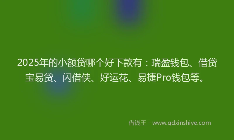 2025年的小额贷哪个好下款有：瑞盈钱包、借贷宝易贷、闪借侠、好运花、易捷Pro钱包等。