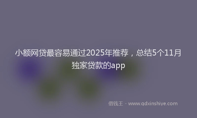 小额网贷最容易通过2025年推荐，总结5个11月独家贷款的app