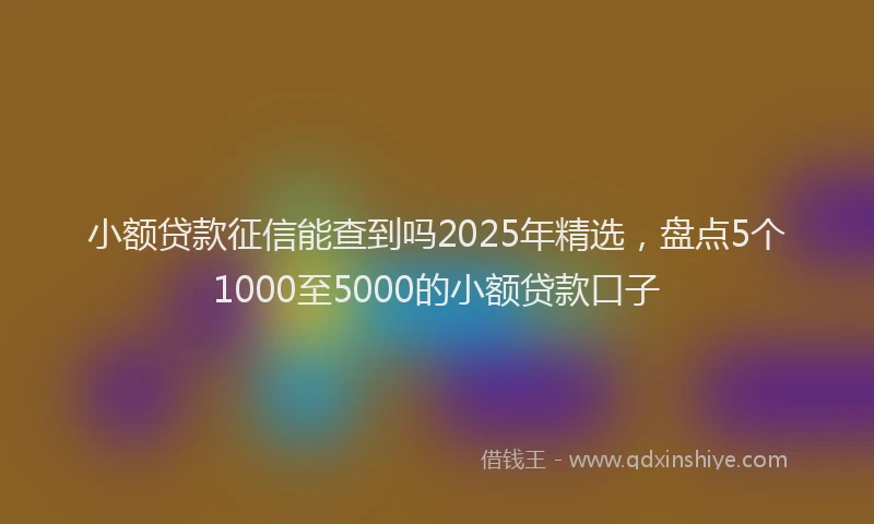小额贷款征信能查到吗2025年精选，盘点5个1000至5000的小额贷款口子